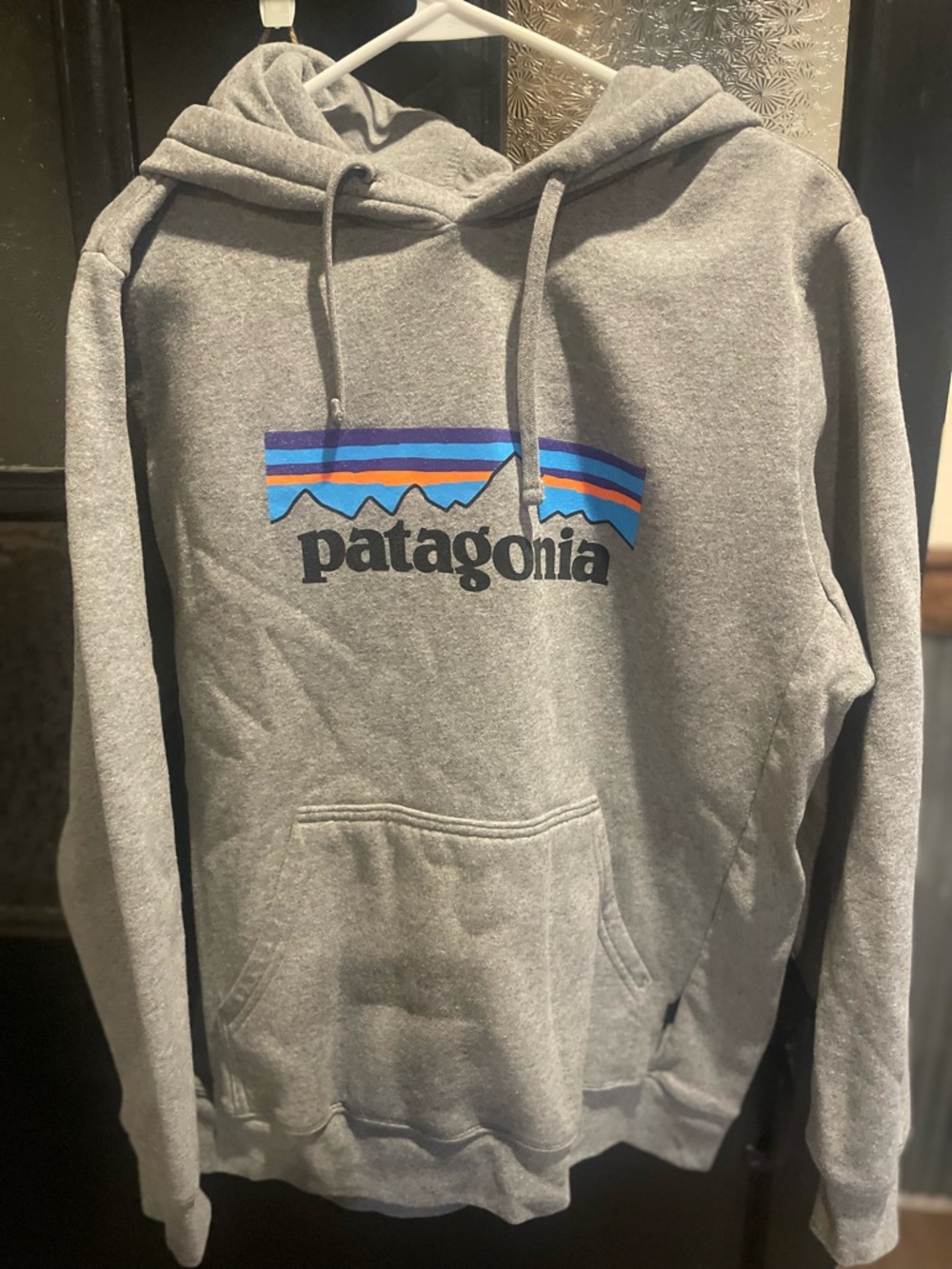 Patagonia Gray Hoodie with Multicolor Mountain Logo